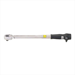 Cần xiết lực Tohnichi QL100N4